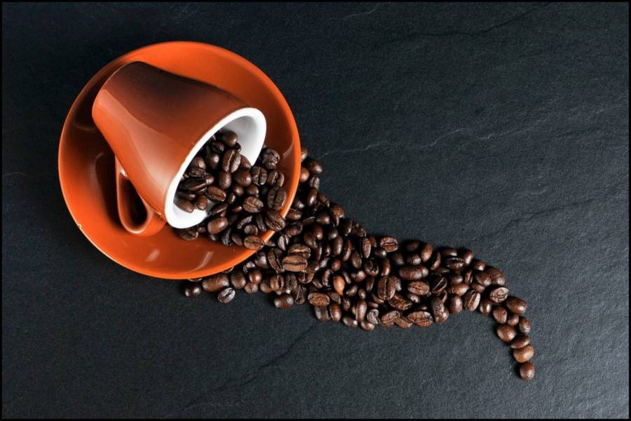 Palarnia kawy – jakość na pierwszym miejscu!