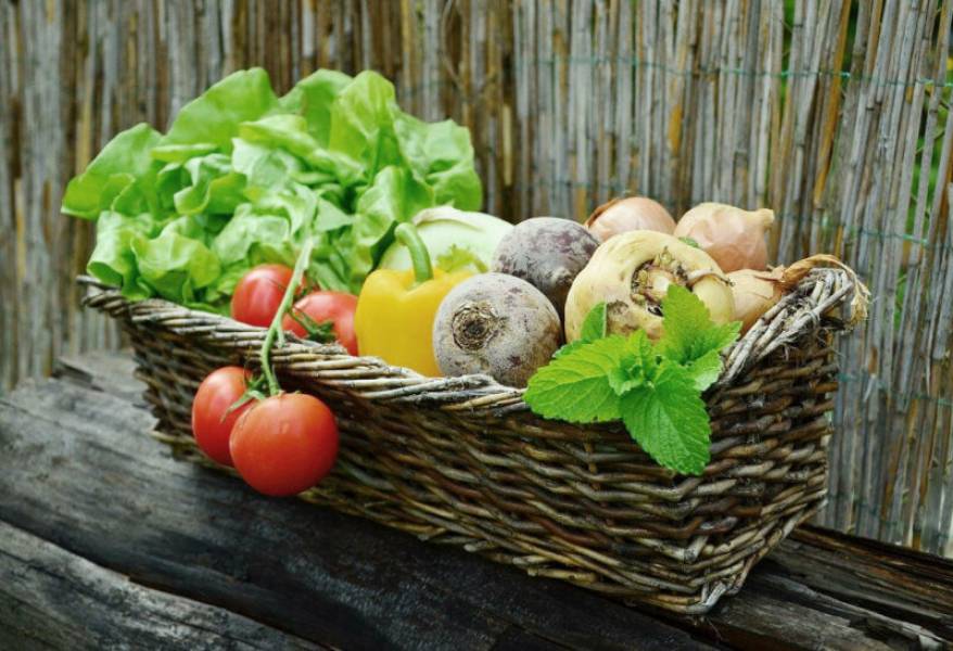 Jak zachować świeżość warzyw w lodówce?