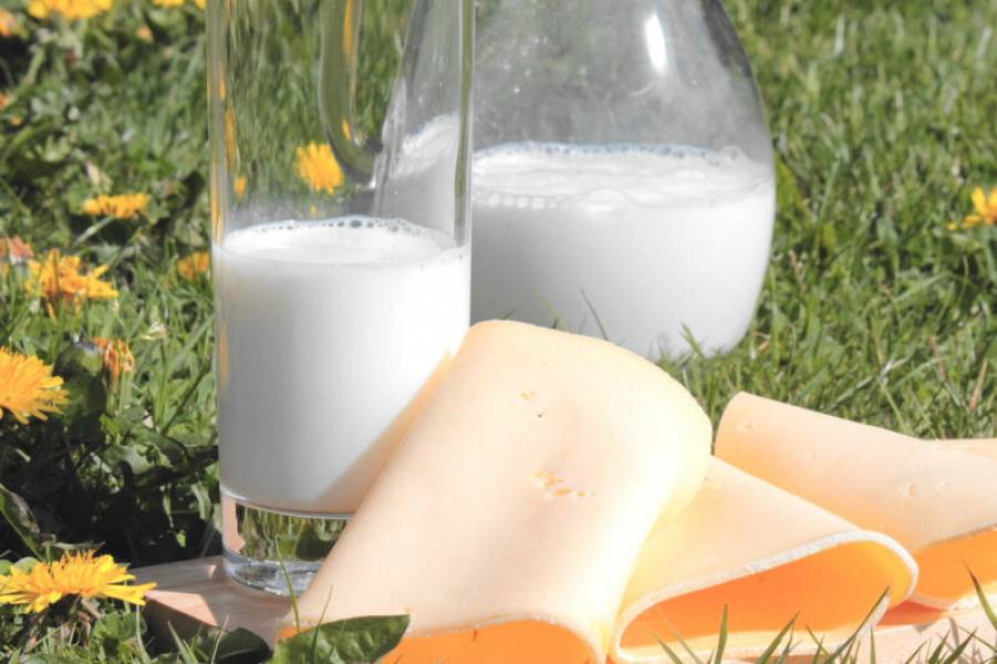 Zdrowotne zalety mleka roślinnego