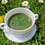 Zielona zupa z pokrzywy — smak wiosennej łąki