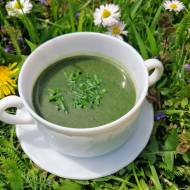 Zielona zupa z pokrzywy — smak wiosennej łąki