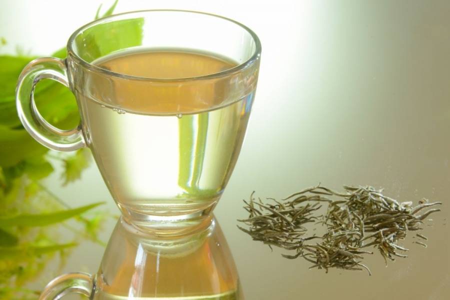 Mity na temat białej herbaty – na jakie właściwości należy zwrócić uwagę
