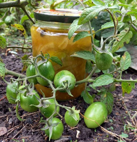 Zielone pomidory w ostrej zalewie