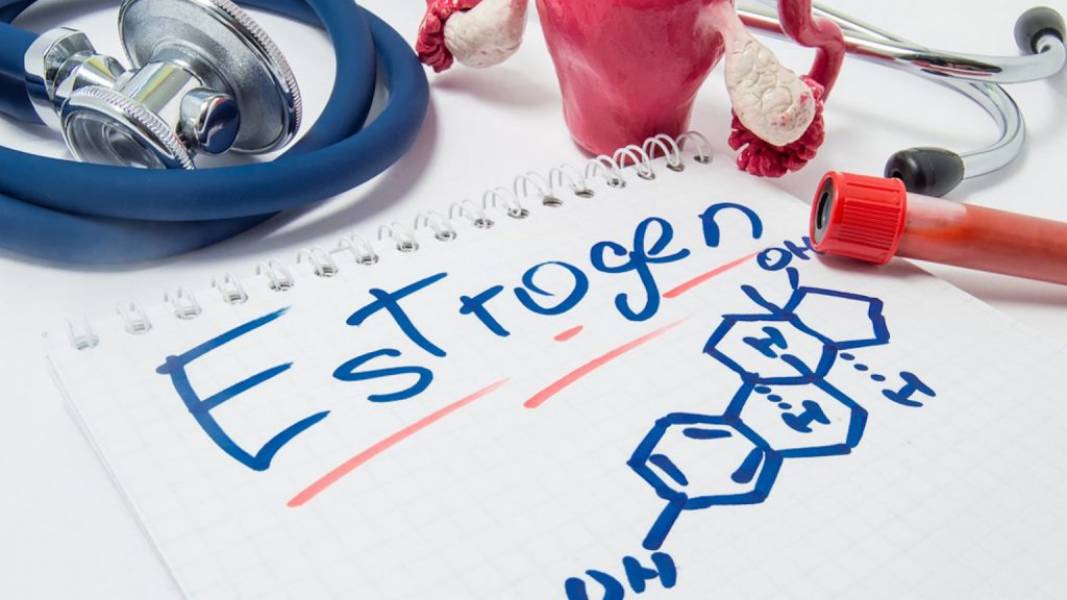 Estrogeny i ich rola w organizmie. Objawy nadmiaru i niedoboru. Jak za pomocą diety wyregulować ich poziom w organizmie.