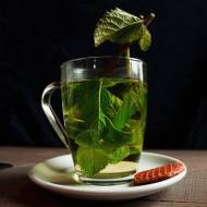 Zielona herbata – wszystko co powinieneś o niej wiedzieć