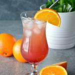 Sex on the beach drink