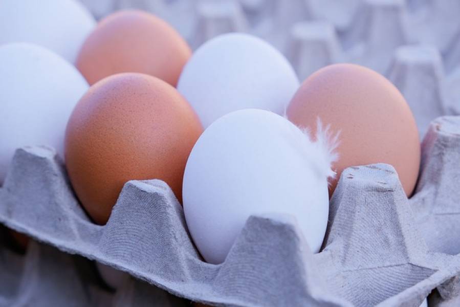 Jak wybrać dobre jajka ?
