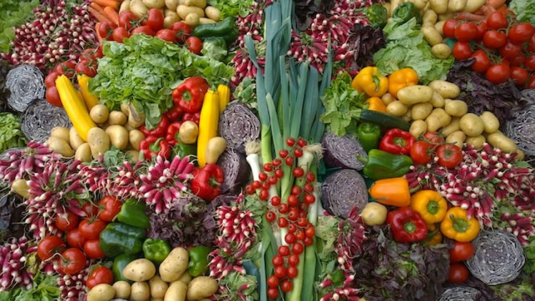 Jakie są różnice między warzywami ekologicznymi a konwencjonalnymi?