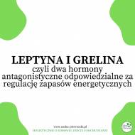Leptyna i grelina, czyli dwa hormony antagonistyczne odpowiedzialne za regulację zapasów energetycznych.