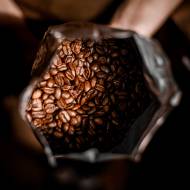 Czym jest kawa Arabica?
