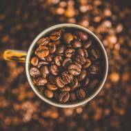 Co warto wiedzieć o kawie speciality?