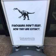 Dinozaury nie czytały i teraz są wymarłe. (Na szczęście Thesaurus przeżył!)
