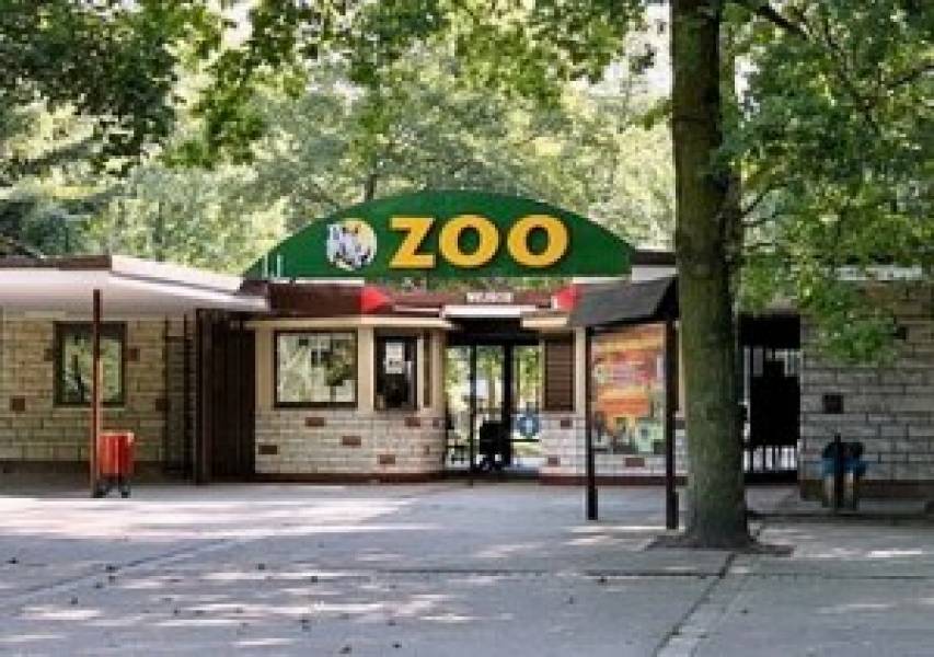 Nasze polecajki – Nowe Zoo w Poznaniu!