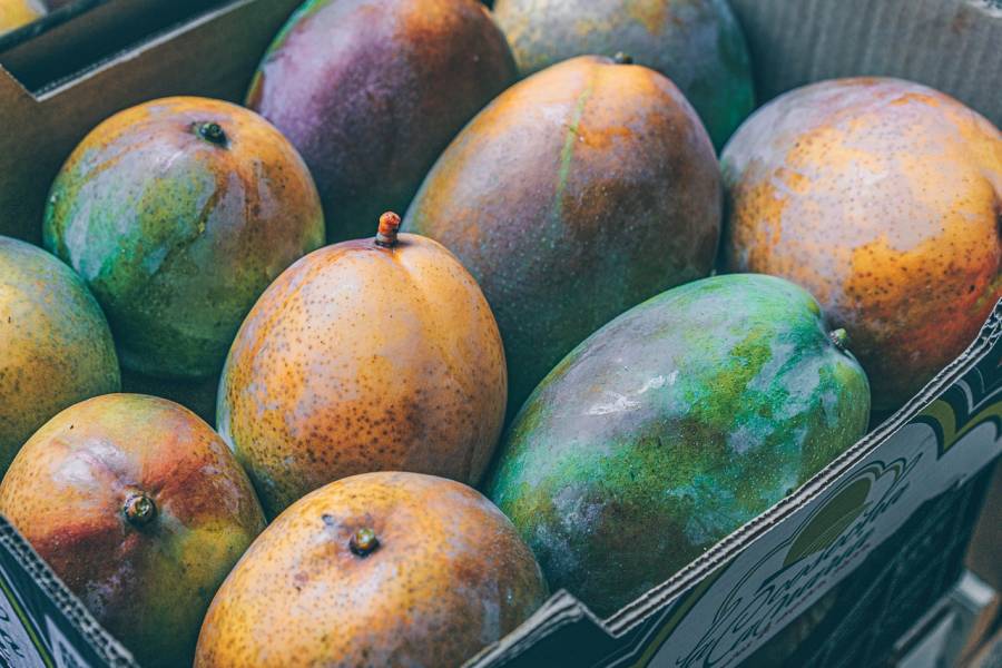Kulinarne Inspiracje: Mango w Roli Głównej na Twoim Obiedzie