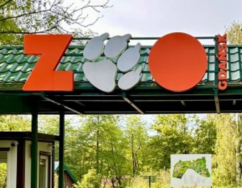 Gdańskie zoo – największy ogród zoologiczny w Polsce!