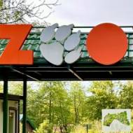 Gdańskie zoo – największy ogród zoologiczny w Polsce!