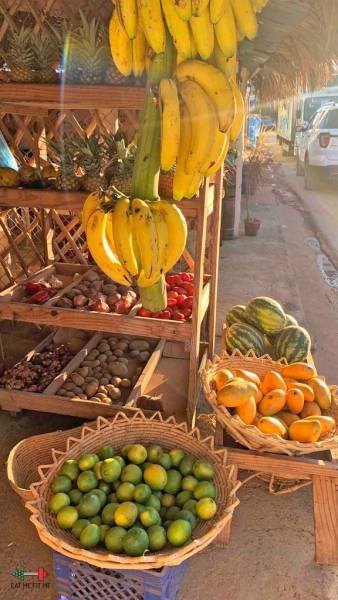 Dominikana –  jakich owoców warto spróbować i dlaczego awokado lub mango już nigdy nie będą smakować tak samo?