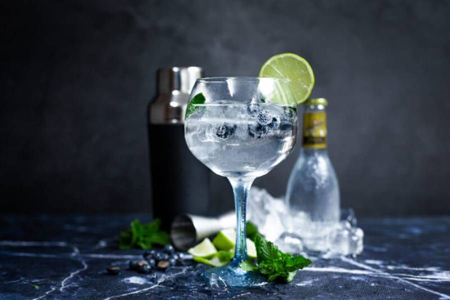 Gin – to powinieneś o nim wiedzieć!