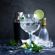 Gin – to powinieneś o nim wiedzieć!