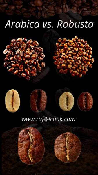 Arabica vs. Robusta – Historia i Pochodzenie