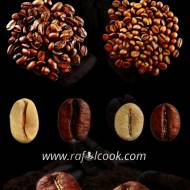 Arabica vs. Robusta – Historia i Pochodzenie