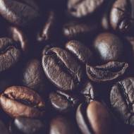 Jaka kawa Arabica czy Robusta?