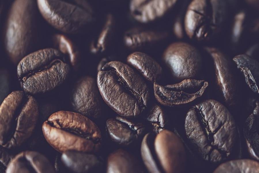 Jaką Arabica jest najlepsza?