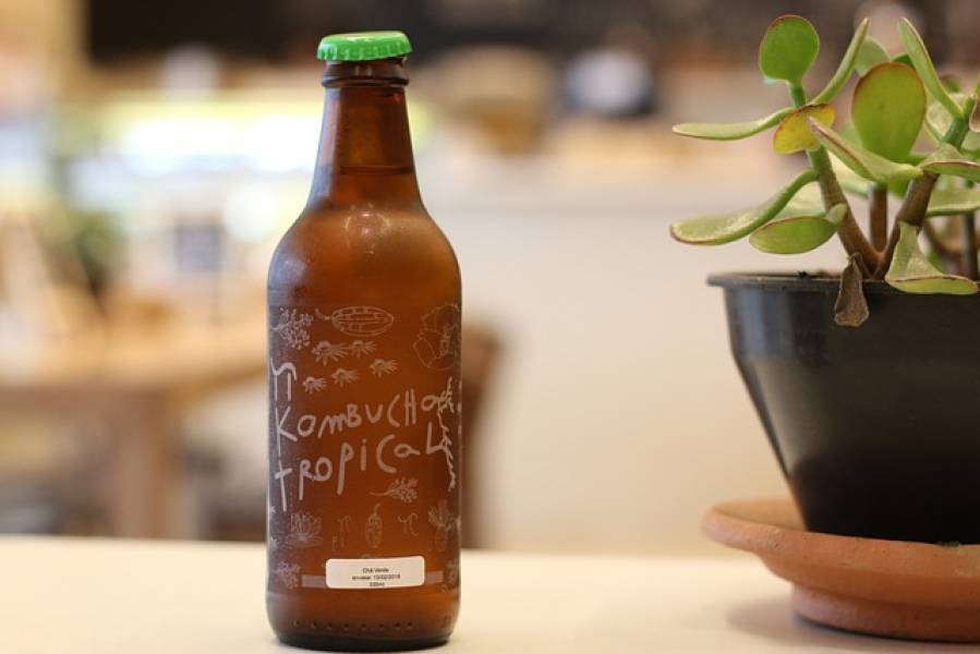 Czy kombucha oczyszcza organizm?