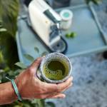 Matcha bez tajemnic – wszystko, co warto wiedzieć o zielonej herbacie z Japonii