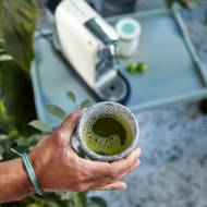 Matcha bez tajemnic – wszystko, co warto wiedzieć o zielonej herbacie z Japonii