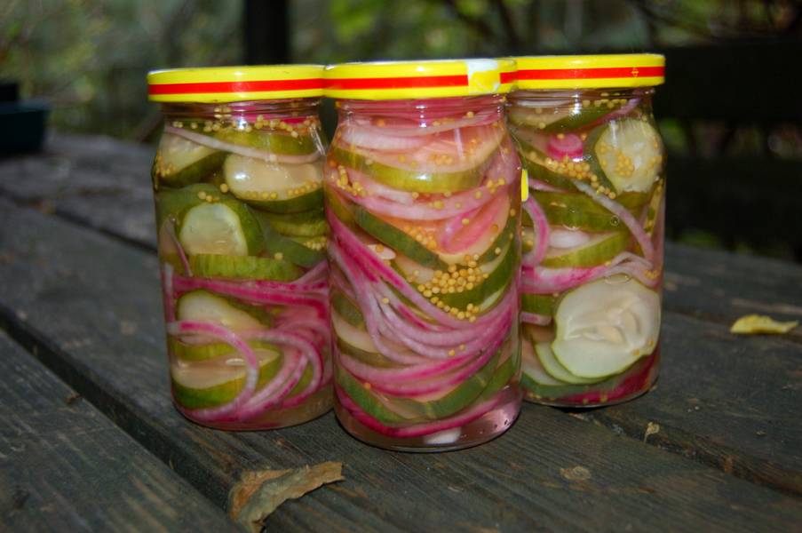 Przepis na ogórki marynowane z czerwoną cebulką