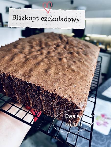 Biszkopt czekoladowy