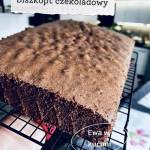 Biszkopt czekoladowy