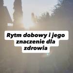 Rytm dobowy i jego znaczenie dla zdrowia. Dodatkowo także o zegarze narządów TCM.