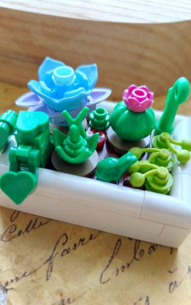 Lego Botanicals. Miniaturowy pustynny ogród – recenzja
