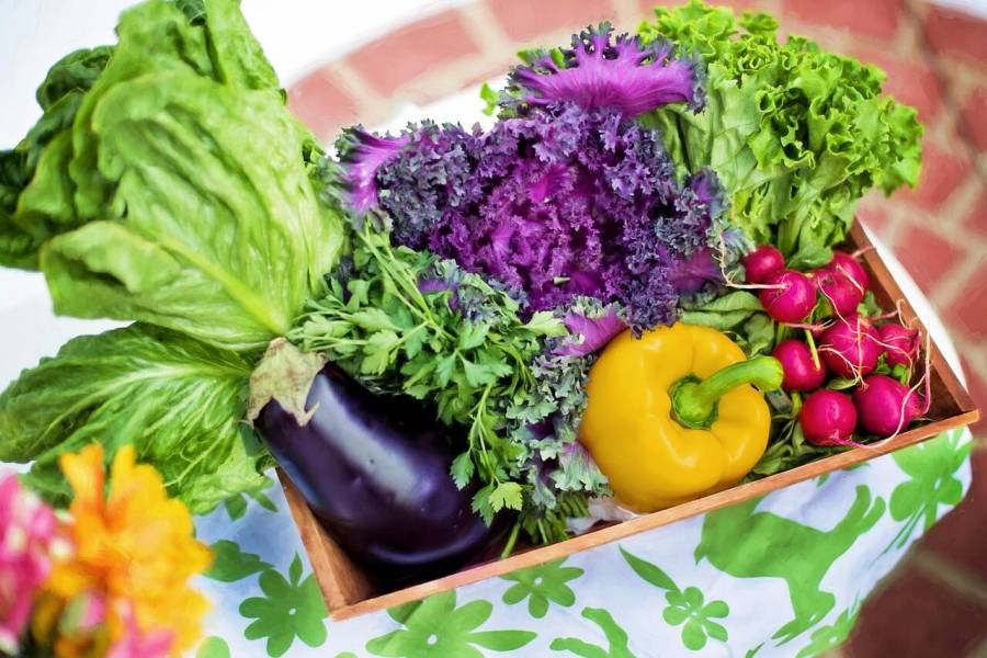 Czy dieta owocowo-warzywna to naturalny sposób na lepsze samopoczucie i zdrowie?