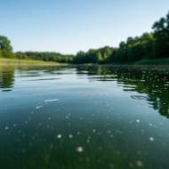 Mikroplastik w kosmetykach jak małe cząsteczki zmieniają oblicze branży beauty