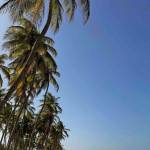 Plaże Margarity – mój ranking najpiękniejszych plaż