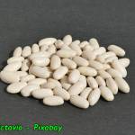 Jak przechowywać suchą fasolę.