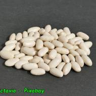 Jak przechowywać suchą fasolę.