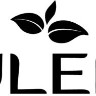 Czarny czosnek Juleko + RafalCook  Ambasador Smaku