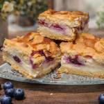 SERNIK Z BORÓWKAMI I KRUSZONKĄ