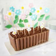 Babka czekoladowa doniczka