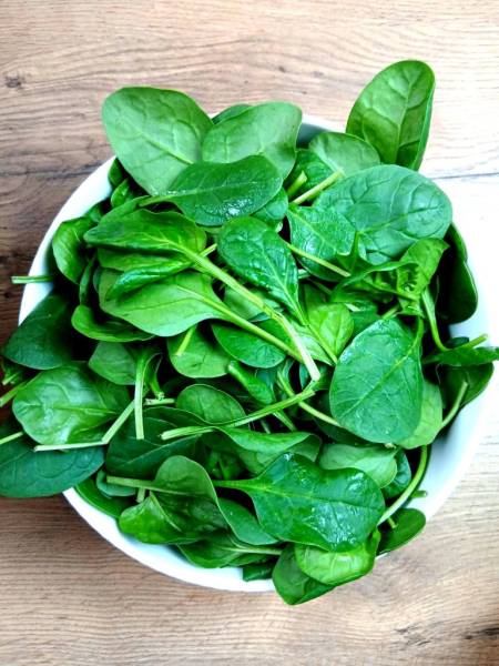 Leśny mech z mascarpone i galaretką