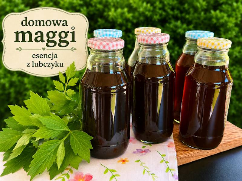 Domowa maggi esencja do zup z lubczyku
