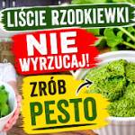 Przepis na pesto z liści rzodkiewek z parmezanem