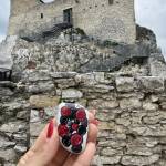 Kamyczki wędrują po Polsce cz. 8