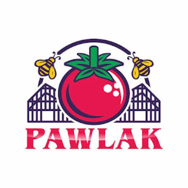 Współpraca z