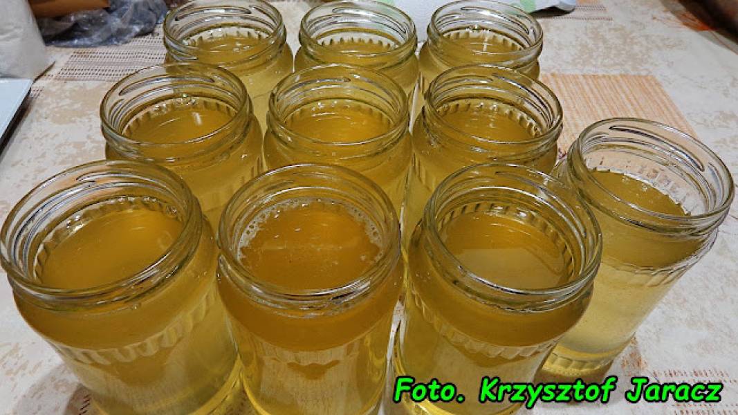 Pigwa w kuchni - wszystko, co warto wiedzieć. Praktyczny przewodnik.